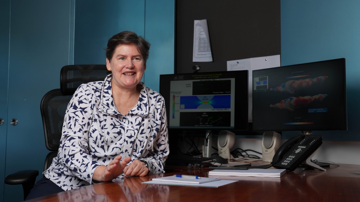 JCSMR Director Elizabeth Gardiner in her office at at ANU in Canberra.