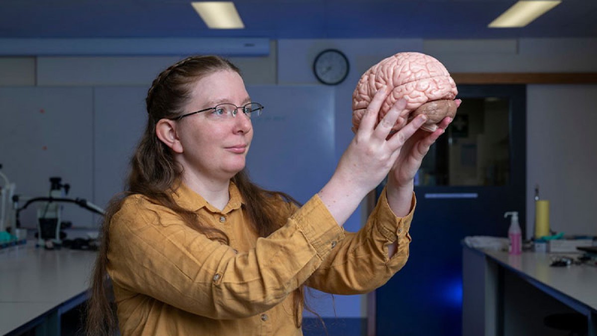 Researcher Erin Walsh holding up a model of a brain.