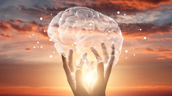 Hands holding a brain that shows a network of ideas against a sunrise backdrop