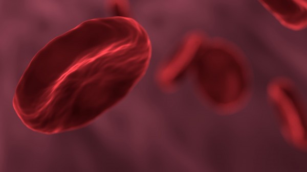 Computer generated image of red blood cells